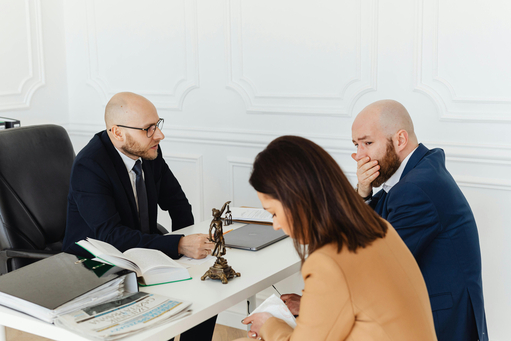 Mediation Negotiation