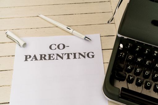 Parenting Plan Agreement Review