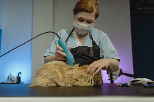 Pet Care Services Agreement Drafting