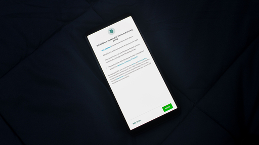Privacy Policy AI Mistakes