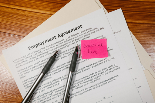 Work for Hire Agreement Drafting